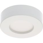 Downlight - 6W 500lm CCT  Ø100mm  - Dimmable - Opal 