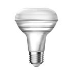 R80 Light Bulb Clear