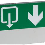 Label - for emergency lighting luminaires - exit below with lift -127x254mm