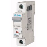 Miniature circuit breaker (MCB), 16 A, 1p, characteristic: C