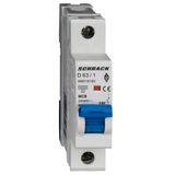 Miniature Circuit Breaker (MCB) AMPARO 10kA, D 63A, 1-pole