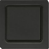 Wireless 2-way pushbutton in E-Design55, anthracite mat