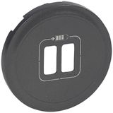 COVER PLATE USB CHARGER 2 OUTLETS GRAPHITE