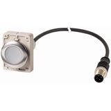 Pushbutton, Flat, maintained, 1 N/O, Cable (black) with M12A plug, 4 pole, 1 m, White, Blank, Metal bezel