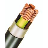 PVC Insulated Heavy Current Cable 0,6/1kV EYY-O 2x4re bk