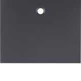 Centre plate for pullcord switch/pullcord push-button, K.1, ant. matt,