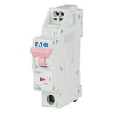 Miniature circuit breaker (MCB) with plug-in terminal, 2 A, 1p, characteristic: D