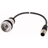 Illuminated pushbutton actuator, Flat, momentary, 1 N/O, Cable (black) with M12A plug, 4 pole, 0.2 m, LED white, Without button plate, 24 V AC/DC, Bez