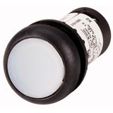 Illuminated pushbutton actuator, Flat, momentary, 1 N/O, Screw connection, LED white, White, Blank, 230 V AC, Bezel: black