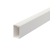 WDK15030RW Wall trunking system with base perforation 15x30x2000