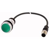 Illuminated pushbutton actuator, Flat, momentary, 1 N/O, Cable (black) with M12A plug, 4 pole, 0.5 m, LED green, green, Blank, 24 V AC/DC, Bezel: tita