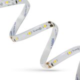 LED STRIP 18W 3528 60LED WW 1m (roll 5m) - with cover EXP