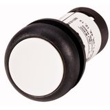 Pushbutton, Flat, momentary, 2 N/O, Screw connection, White, Blank, Bezel: black