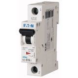 Miniature circuit breaker (MCB), 40 A, 1p, characteristic: C