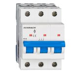 Miniature Circuit Breaker (MCB) AMPARO 10kA, D 2A, 3-pole