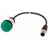 Indicator light, Flat, Cable (black) with M12A plug, 4 pole, 0.2 m, Lens green, LED green, 24 V AC/DC