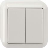 Series switch, 1-pole, polar white, surface-mounted