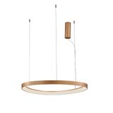 Pendant Lamp D:600 Loop