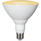 LED Lamp E27 PAR38 Plant Light
