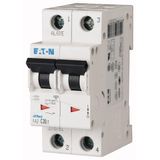 Miniature circuit breaker (MCB), 25 A, 2p, characteristic: S