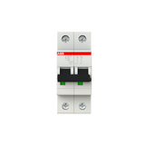 S202M-B25 Miniature Circuit Breaker - 2P - B - 25 A