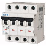 Miniature circuit breaker (MCB), 6 A, 4p, characteristic: D