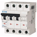 Miniature circuit breaker (MCB), 6 A, 3p+N, characteristic: D