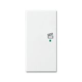 SRS-2-L-94 Electronic Controls free@home alpine white - Basic55