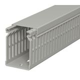 LK4 N 60040 Slotted cable trunking system  60x40x2000