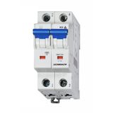 Miniature Circuit Breaker (MCB) C, 1A, 2-pole, 10kA