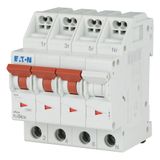 Miniature circuit breaker (MCB) with plug-in terminal, 4 A, 3p+N, characteristic: D