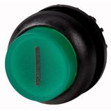 Illuminated pushbutton actuator, RMQ-Titan, Extended, momentary, green, inscribed, Bezel: black