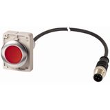 Illuminated pushbutton actuator, Flat, maintained, 1 NC, Cable (black) with M12A plug, 4 pole, 1 m, LED Red, red, Blank, 24 V AC/DC, Metal bezel