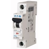 Miniature circuit breaker (MCB), 50 A, 1p, characteristic: K