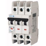 Miniature circuit breaker (MCB), 30 A, 3p, characteristic: D