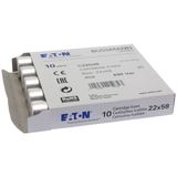 Fuse-link, LV, 40 A, AC 690 V, 22 x 58 mm, gL/gG, IEC