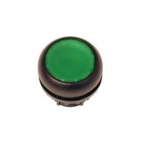 Pushbutton, RMQ-Titan, Flat, momentary, green, Blank, Bezel: black