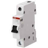 SH201-B20 MTB Miniature Circuit Breaker - 1P - B - 20 A