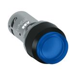 CP3-13L-10 Pushbutton