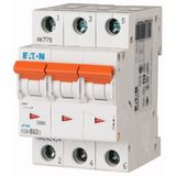 Miniature circuit breaker (MCB), 63 A, 3p, characteristic: B