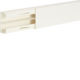 Trunking 30061,pure white