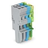 1-conductor female connector CAGE CLAMP® 4 mm² gray/blue/green-yellow