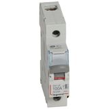 Isolating switch - 1P - 250 V~ - 100 A
