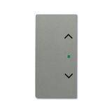 SRS-2-L-803 Electronic Controls free@home grey metallic - 63x63