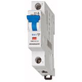 Miniature Circuit Breaker (MCB) B, 40A, 1-pole, 6kA