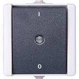 Off switch, 2-pole