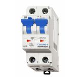 Combined MCB/RCD (RCBO) 16/2/C/003, Type A, 10kA