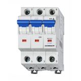 Miniature Circuit Breaker (MCB) D, 16A, 3-pole, 10kA