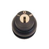 Key-operated actuator, maintained, 3 positions, 0, II, Bezel: black