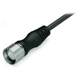 Connecting cable 19-pole Length: 5 m black